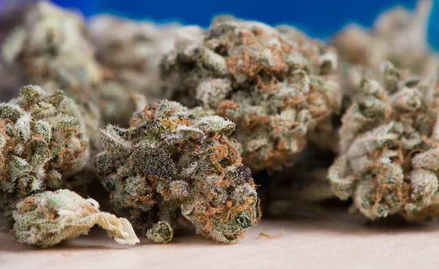 cannabis, marijuana, cannabis flower, cannabis buds, marijuana buds, weed, hemp, medical marijuana, cannabis plant, cannabis macro, trichomes, flower buds, herbal, botanical, macro, close up, medicinal plant, cbd, thc, cannabis photography, nature, plant, green, cultivation, cannabis industry. Cannabis digital marketing compliance US: a small-team plan
